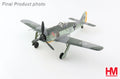 HOBBY MASTER FW-190A-4 FLOWN BY FW.R.EISELE 8/JG 2 BREST-GUIPAVAS FRANCE 1943